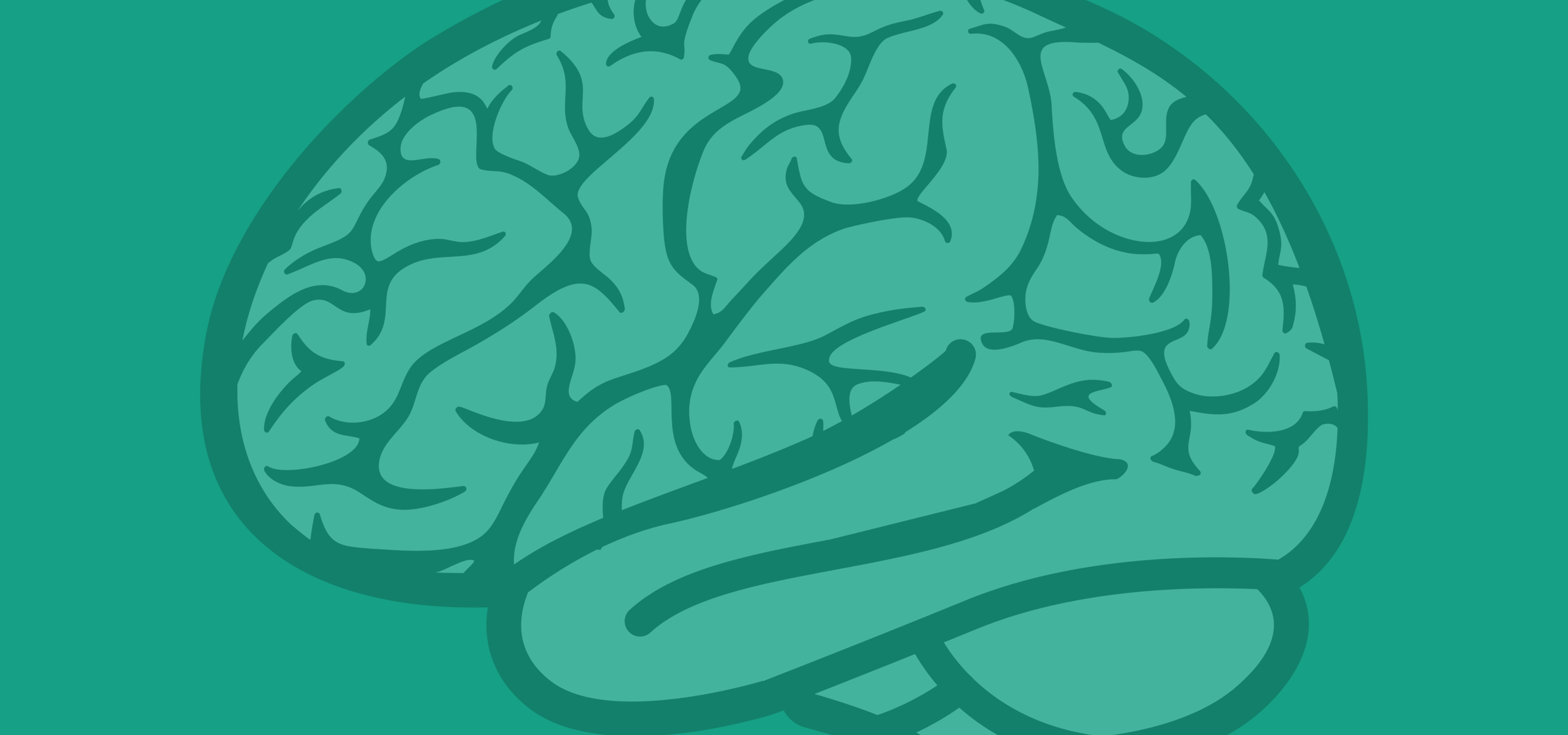 Cranial Nerve Examination Checklist